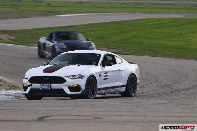 Ford Mustang GT3